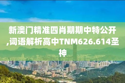 新澳门精准四肖期期中特公开,词语解析高中TNM626.614圣神