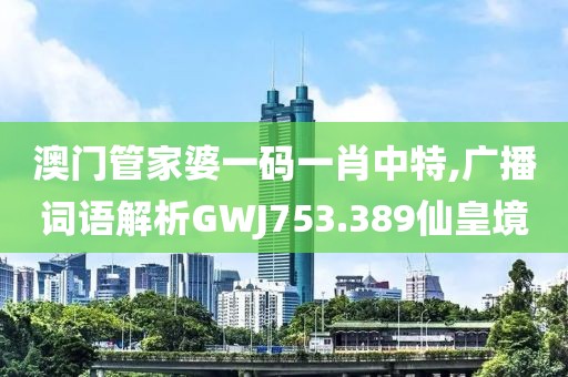 澳门管家婆一码一肖中特,广播词语解析GWJ753.389仙皇境