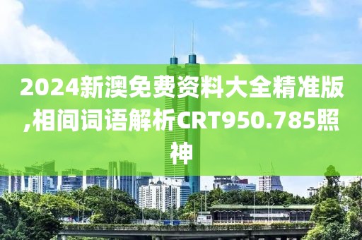 2024新澳免费资料大全精准版,相间词语解析CRT950.785照神