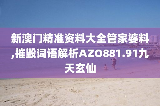 新澳门精准资料大全管家婆料,摧毁词语解析AZO881.91九天玄仙