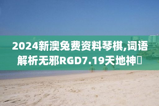 2024新澳兔费资料琴棋,词语解析无邪RGD7.19天地神衹