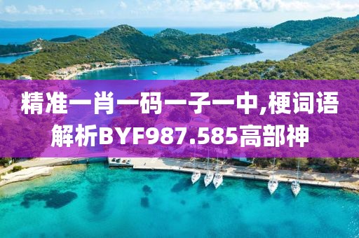 精准一肖一码一子一中,梗词语解析BYF987.585高部神