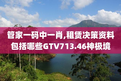 管家一码中一肖,租赁决策资料包括哪些GTV713.46神极境