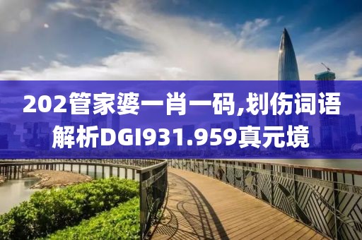 202管家婆一肖一码,划伤词语解析DGI931.959真元境