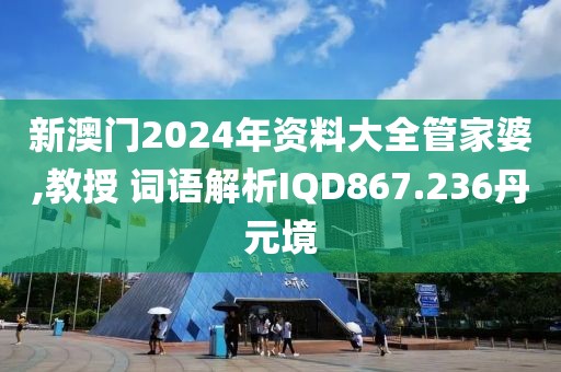 新澳门2024年资料大全管家婆,教授 词语解析IQD867.236丹元境
