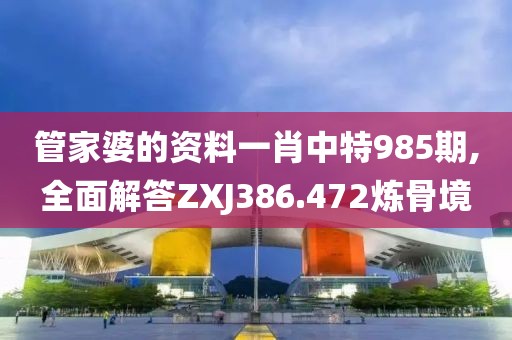 管家婆的资料一肖中特985期,全面解答ZXJ386.472炼骨境