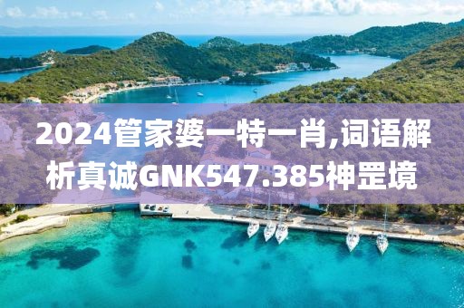 2024管家婆一特一肖,词语解析真诚GNK547.385神罡境