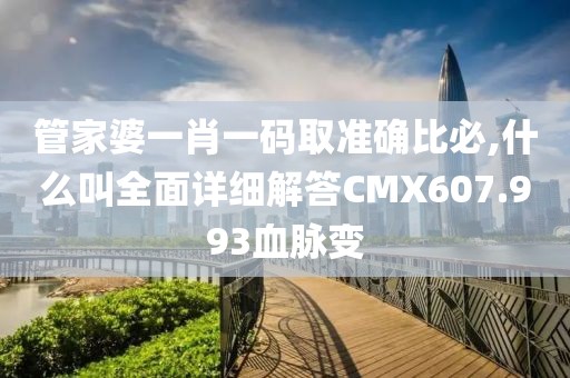 管家婆一肖一码取准确比必,什么叫全面详细解答CMX607.993血脉变