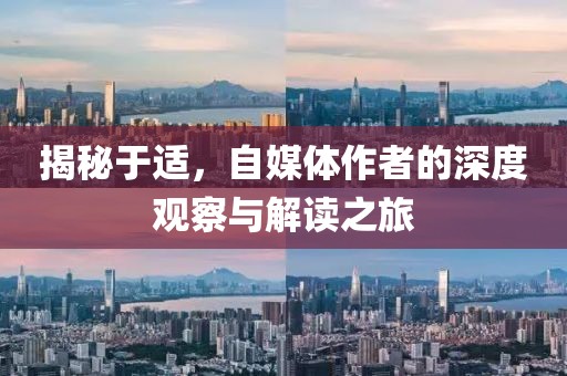 揭秘于适，自媒体作者的深度观察与解读之旅