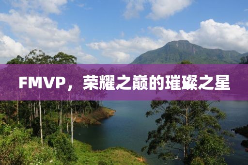 FMVP，荣耀之巅的璀璨之星