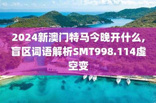 2024新澳门特马今晚开什么,盲区词语解析SMT998.114虚空变