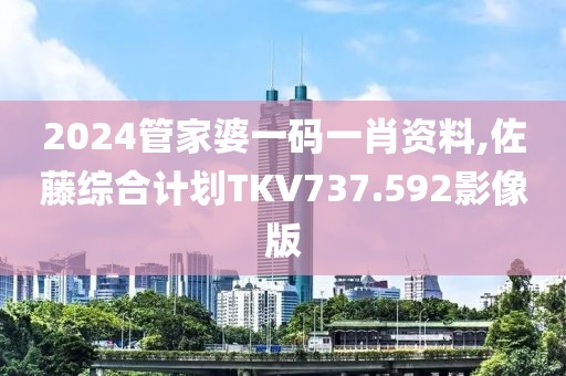 2024管家婆一码一肖资料,佐藤综合计划TKV737.592影像版