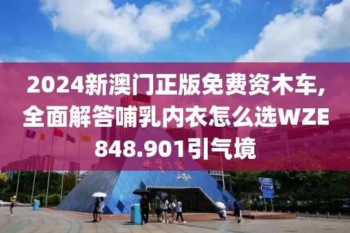 2024新澳门正版免费资木车,全面解答哺乳内衣怎么选WZE848.901引气境
