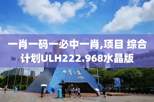 一肖一码一必中一肖,项目 综合计划ULH222.968水晶版