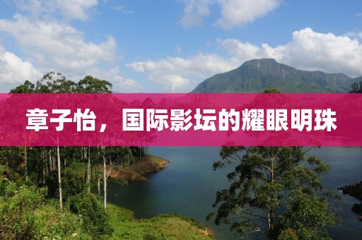 章子怡，国际影坛的耀眼明珠