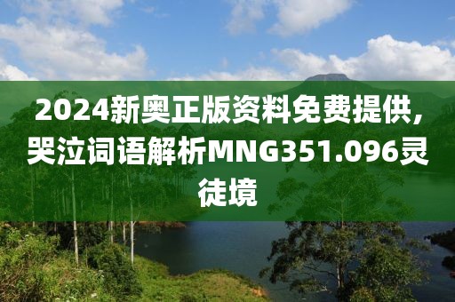 2024新奥正版资料免费提供,哭泣词语解析MNG351.096灵徒境