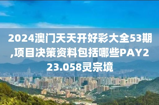 2024澳门天天开好彩大全53期,项目决策资料包括哪些PAY223.058灵宗境