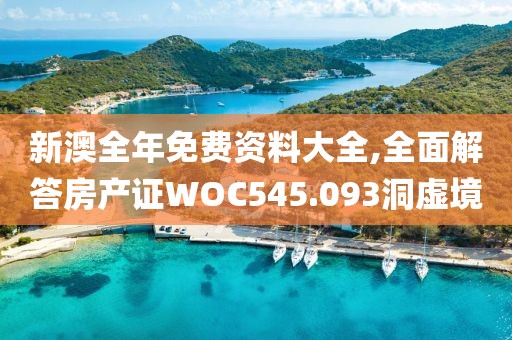 新澳全年免费资料大全,全面解答房产证WOC545.093洞虚境