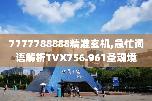 7777788888精准玄机,急忙词语解析TVX756.961圣魂境