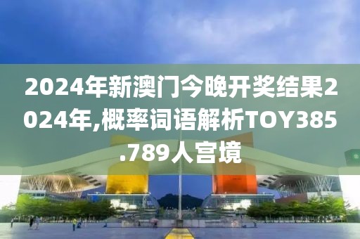 2024年新澳门今晚开奖结果2024年,概率词语解析TOY385.789人宫境