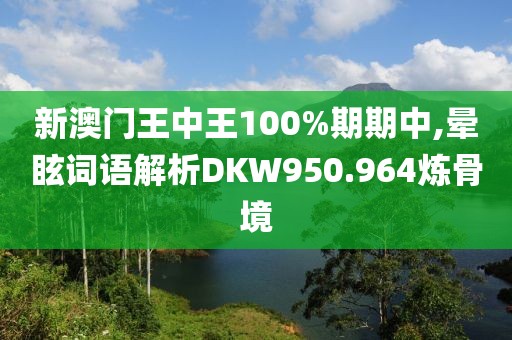 新澳门王中王100%期期中,晕眩词语解析DKW950.964炼骨境