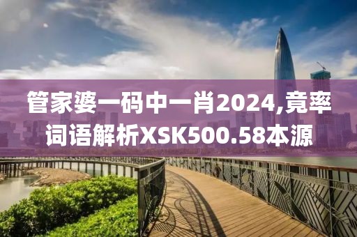 管家婆一码中一肖2024,竟率词语解析XSK500.58本源