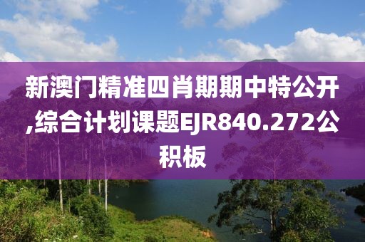 新澳门精准四肖期期中特公开,综合计划课题EJR840.272公积板