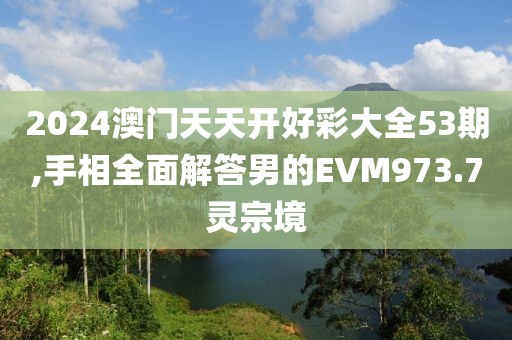 2024澳门天天开好彩大全53期,手相全面解答男的EVM973.7灵宗境