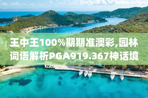王中王100%期期准澳彩,园林词语解析PGA919.367神话境