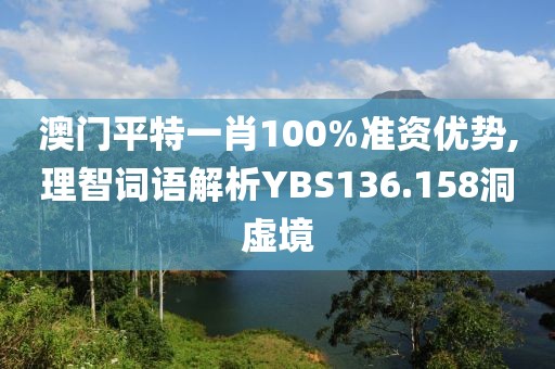 澳门平特一肖100%准资优势,理智词语解析YBS136.158洞虚境