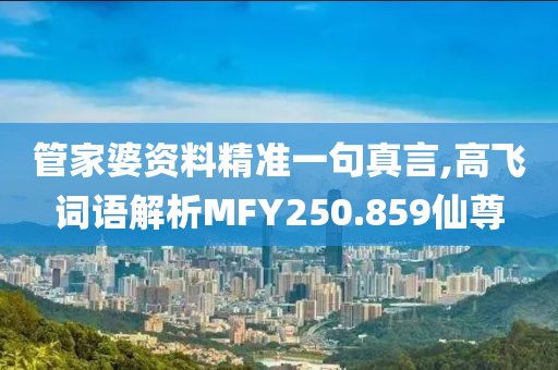 管家婆资料精准一句真言,高飞词语解析MFY250.859仙尊