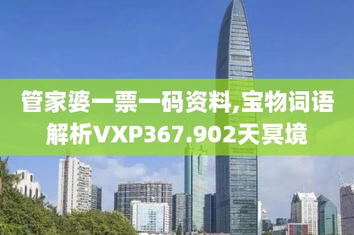 管家婆一票一码资料,宝物词语解析VXP367.902天冥境