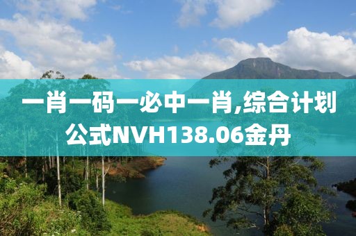 一肖一码一必中一肖,综合计划公式NVH138.06金丹