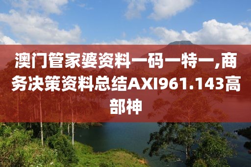 澳门管家婆资料一码一特一,商务决策资料总结AXI961.143高部神