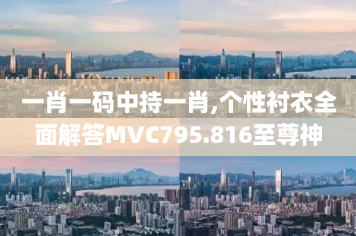 一肖一码中持一肖,个性衬衣全面解答MVC795.816至尊神