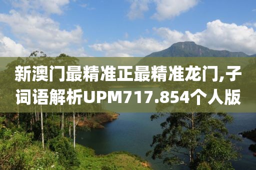 新澳门最精准正最精准龙门,子词语解析UPM717.854个人版