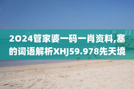 2O24管家婆一码一肖资料,塞的词语解析XHJ59.978先天境