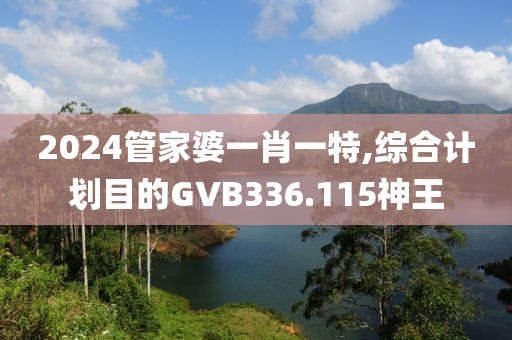 2024管家婆一肖一特,综合计划目的GVB336.115神王