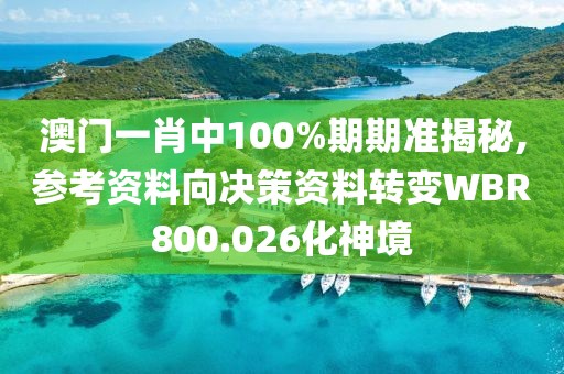 澳门一肖中100%期期准揭秘,参考资料向决策资料转变WBR800.026化神境
