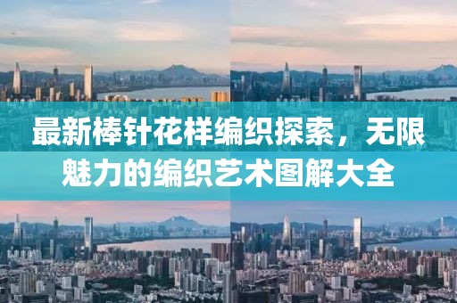 最新棒针花样编织探索，无限魅力的编织艺术图解大全