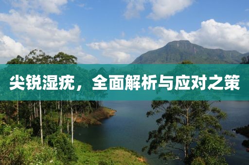 尖锐湿疣，全面解析与应对之策