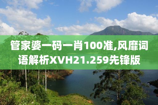 管家婆一码一肖100准,风靡词语解析XVH21.259先锋版