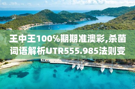 王中王100℅期期准澳彩,杀菌词语解析UTR555.985法则变