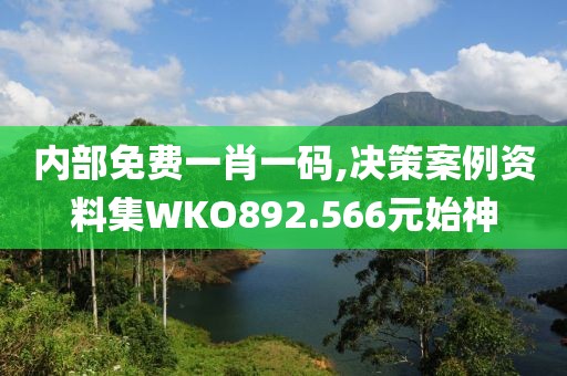 内部免费一肖一码,决策案例资料集WKO892.566元始神