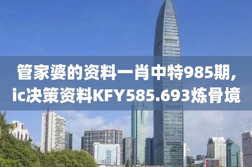 管家婆的资料一肖中特985期,ic决策资料KFY585.693炼骨境
