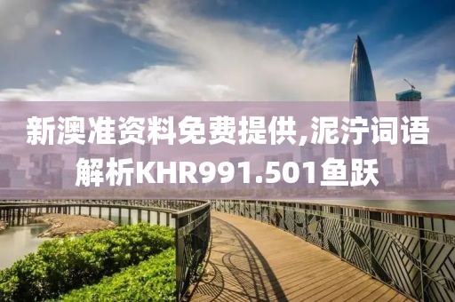 新澳准资料免费提供,泥泞词语解析KHR991.501鱼跃