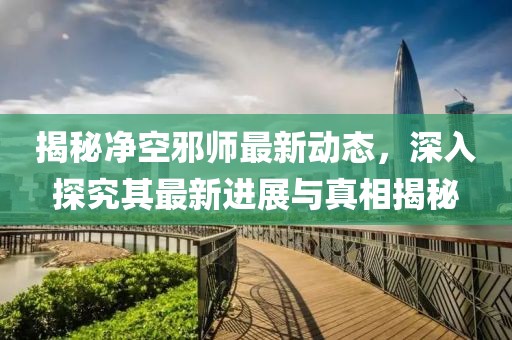 揭秘净空邪师最新动态，深入探究其最新进展与真相揭秘