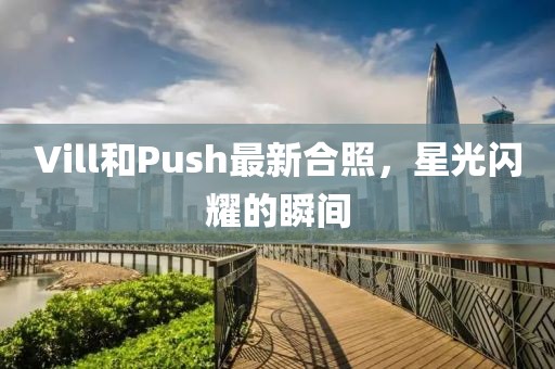 Vill和Push最新合照，星光闪耀的瞬间