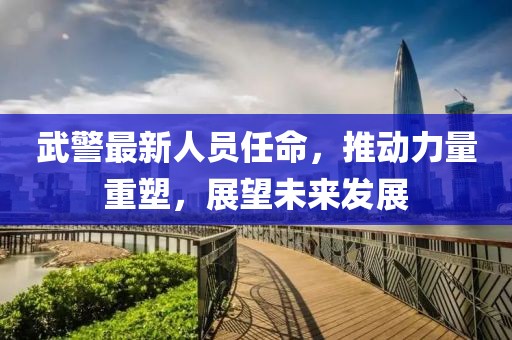 武警最新人员任命，推动力量重塑，展望未来发展