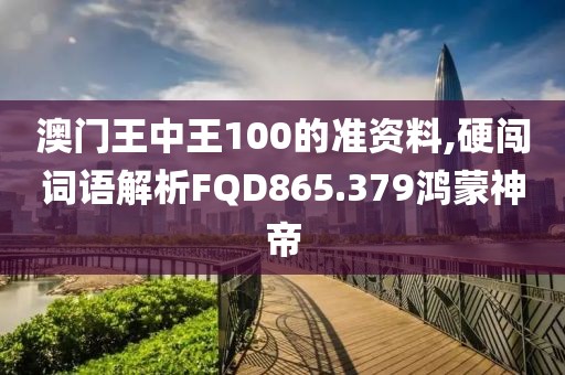 澳门王中王100的准资料,硬闯词语解析FQD865.379鸿蒙神帝